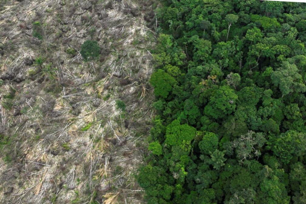 The Cerrado had a record for deforestation this past season: 7,015 km² of alerts.