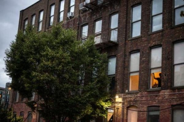 A brick building with dozens of windows and  a fire escape with a healthy tree full of leaves in front.