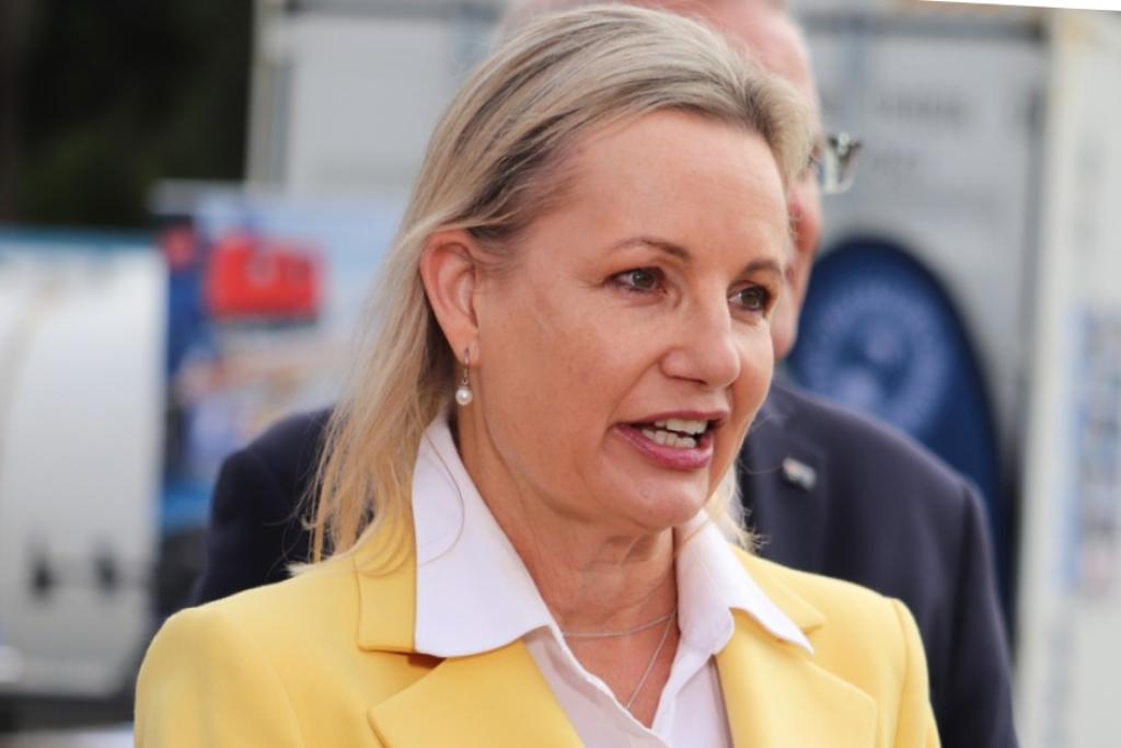 Sussan Ley encounters another independent opponent in Farrer.