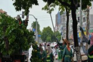 Typhoon Shanshan hammers Japan.